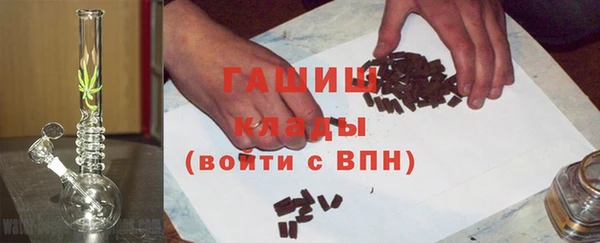 стаф Верея