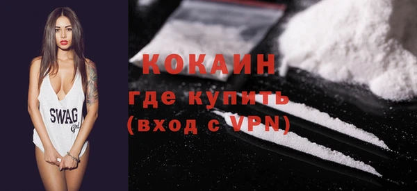 стаф Верея