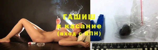 стаф Верея