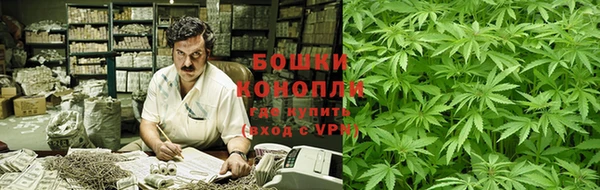 стаф Верея