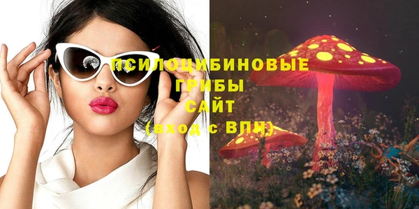 стаф Верея