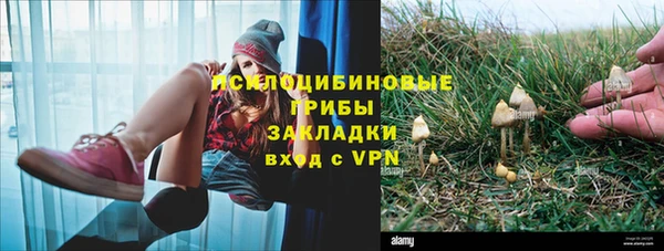 2c-b Бронницы