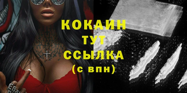 стаф Верея