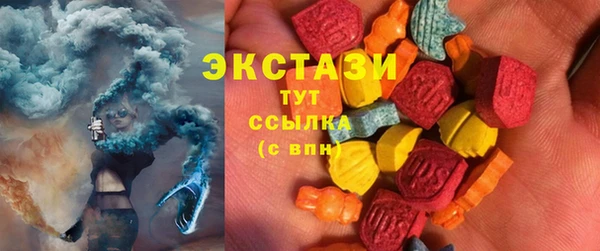 стаф Верея