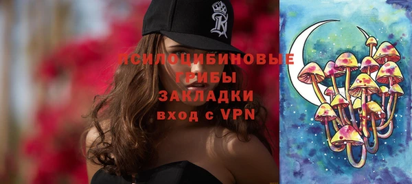 стаф Верея