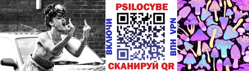 Псилоцибиновые грибы Cubensis  Купить  Нерюнгри 